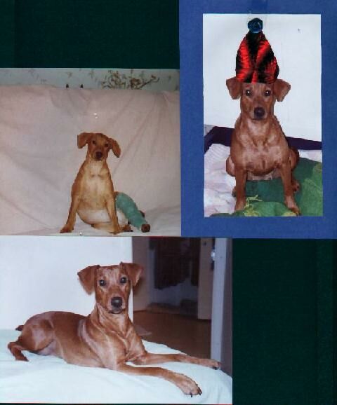 Inka